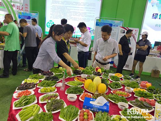 15988亿元 沧州市农业招商推介会签约30个项目